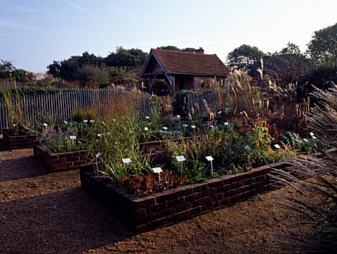 VIEW_ACROSS_NURSERY_BEDS_AT_MARCHANTS_HARDY_PLANTS__SUSSEX