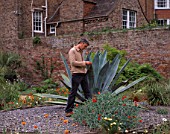 PAN GLOBAL PLANTS  GLOUCESTERSHIRE: NICK MACER STANDS BESIDE A MASSIVE AGAVE AMERICANA IN THE WALLED GARDEN