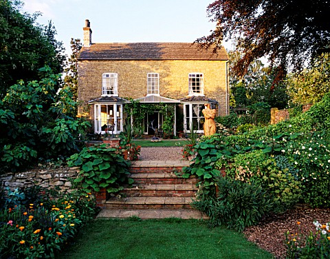 HALL_FARM__LINCOLNSHIRE_STEPS_UP_TO_THE_HOUSE_WITH_VITIS_COIGNETIAE_ON_EITHER_SIDE_OF_STEPS_AND_CARV