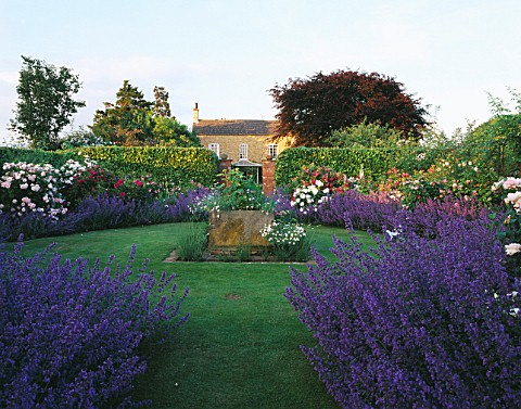 HALL_FARM__LINCOLNSHIRE_VIEW_TO_THE_HOUSE_FROM_THE_ROSE_GARDEN_WITH_LARGE_TROUGH_IN_THE_FOREGROUND_A