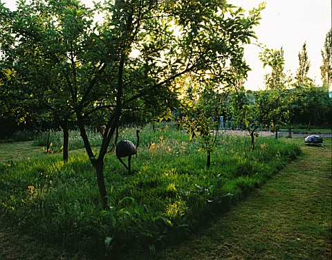 HALL_FARM__LINCOLNSHIRE_THE_ORCHARD_IN_THE_EVENING_WITH_AN_EMU_SCULPTURE_BY_PAUL_GIBBERD