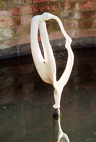 COLD_CAST_WHITE_MARBLE_SCULPTURE_BY_PAM_FOLEY_IN_A_POOL_WITH_KOI_CARP_AT_THE_GALAXIE_HOTEL__OXFORD