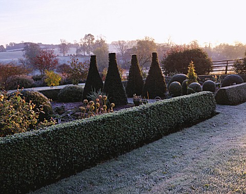 VIEW_ACROSS_PARTERRE_TO_OPEN_COUNTRYSIDE_AT_PETTIFERS_IN__FROST__TOPIARY