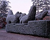 PARSONAGE  WORCESTERSHIRE: FROSTED TOPIARY HEDGE BESIDE THE HOUSE. WINTER
