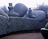 PARSONAGE  WORCESTERSHIRE: FROSTED TOPIARY HEDGE BESIDE THE DRIVE TOPPED BY PEACOCKS