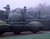 PARSONAGE  WORCESTERSHIRE: FROSTED TOPIARY HEDGES BESIDE THE DRIVE TOPPED BY PEACOCKS. WINTER