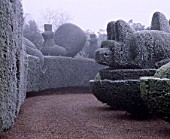 PARSONAGE  WORCESTERSHIRE: FROSTED TOPIARY HEDGES BESIDE THE DRIVE TOPPED BY PEACOCKS. WINTER
