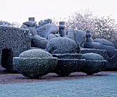 PARSONAGE  WORCESTERSHIRE: FROSTED TOPIARY HEDGES BESIDE THE DRIVE AND LAWN TOPPED BY PEACOCKS. WINTER