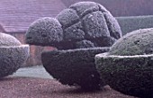 PARSONAGE  WORCESTERSHIRE: FROSTED TOPIARY TORTOISE BESIDE THE LAWN. WINTER