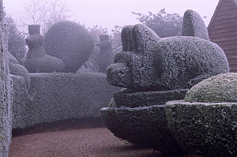 PARSONAGE__WORCESTERSHIRE_FROSTED_TOPIARY_HEDGES_BESIDE_THE_DRIVE_WINTER