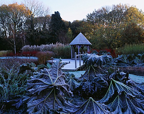 GARDEN_DESIGNED_BY_DUNCAN_HEATHER_THE_SUMMERHOUSE_AND_WOODEN_BRIDGE_ACROSS_THE_POOL_IN_WINTER_WITH_C