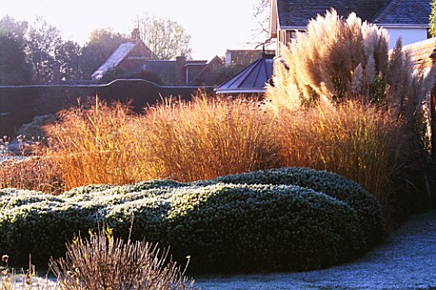 GARDEN_DESIGNED_BY_DUNCAN_HEATHER_FROSTY_BORDER_WITH_PAMPAS_GRASS__GRASSES_AND_HEBE