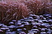 GARDEN DESIGNED BY DUNCAN HEATHER: FROSTY BORDER WITH GRASSES AND SEDUMS