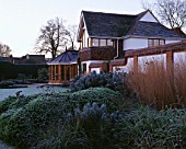 GARDEN DESIGNED BY DUNCAN HEATHER: FROSTY BORDER IN FRONT OF THE HOUSE WITH VERBENA BONARIENSIS  EUPHORBIA WULFENII AND HEBE
