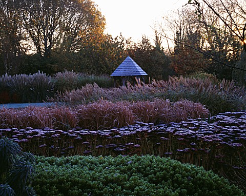 GARDEN_DESIGNED_BY_DUNCAN_HEATHER_THE_SUMMERHOUSE_SEEN_ACROSS_FROSTED_GRASSES__SEDUMS_AND_HEBES_WINT
