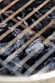 BARBEQUE PROJECT: COALS BURNING WHITE UNDER METAL GRILL
