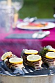 BARBEQUE PROJECT: METAL BUCKET BARBEQUE WITH METAL GRILL AND SEABASS GARNISHED WITH LEMON AND FENEL