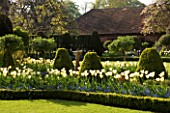 CHENIES MANOR GARDEN  BUCKINGHAMSHIRE SUNDIAL BORDERS IN SPRING PLANTED WITH FORGET-ME-NOTS AND TULIP DREAMING GIRL