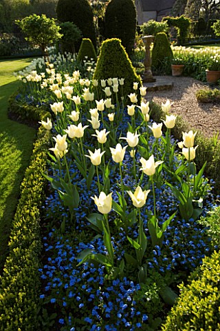CHENIES_MANOR_GARDEN__BUCKINGHAMSHIRE_SUNDIAL_AND_SPRING_BORDER_PLANTED_WITH_FORGETMENOTS_AND_TULIP_