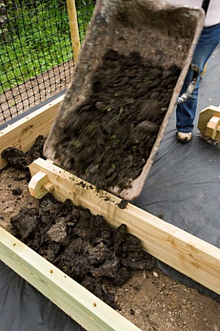 DESIGNER_CLARE_MATTHEWS_CLARE_MATTHEWS_TIPPING_A_WHEELBARROW_OF_COMPOST_INTO_A_WOODEN_BED_IN_THE_POT