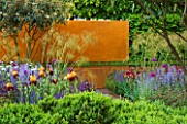 THE DAILY TELEGRAPH GARDEN  CHELSEA 2006  DESIGNER: TOM STUART-SMITH. BEDS WITH IRISES  ALLIUMS AND STIPA GIGANTEA IN FRONT OF RUSTY METAL WALL