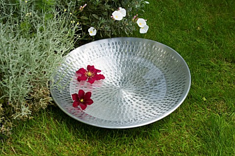 DESIGNER_CLARE_MATTHEWS__SILVER_REFLECTIVE_BOWL_ON_LAWN_BESIDE_BORDER_FILLED_WITH_WATER
