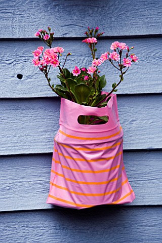DESIGNER_CLARE_MATTHEWS__PINK_PLASTIC_PARTY_BAG_ON_BLUE_FENCE_PLANTED_WITH_PINK_FLOWERS