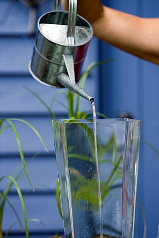 DESIGNER_CLARE_MATTHEWS__PAPYRUS_CONTAINER_PROJECT__POURING_WATER_INTO_CONTAINER