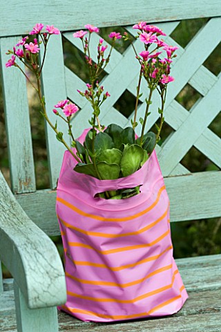 DESIGNER_CLARE_MATTHEWS___PINK_PLASTIC_PARTY_BAG_PLANTED_WITH_PINK_FLOWERS_ON_GREEN_BENCH