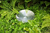 SILVER REFLECTIVE BOWL FILLED WITH WATER WITH FERNS GROWING AROUND