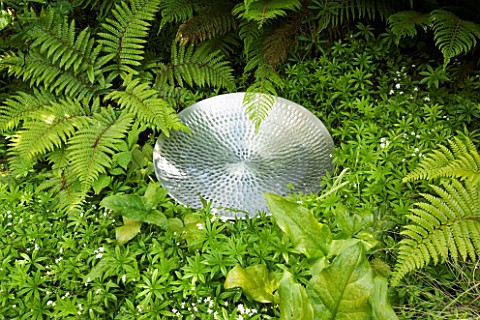 SILVER_REFLECTIVE_BOWL_FILLED_WITH_WATER_WITH_FERNS_GROWING_AROUND