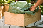 DESIGNER: CLARE MATTHEWS -  VEGETABLE BOX PROJECT - FILLING BOX WITH GREEN PLASTIC LINER