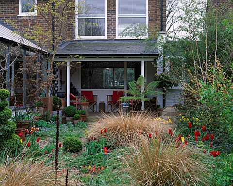 LISETTE_PLEASANCE_GARDEN__LONDON_VIEW_TO_THE_HOUSE_WITH_GRAVEL__STIPA_ARUNDINACEA_AND_TULIPS_WESTPOI