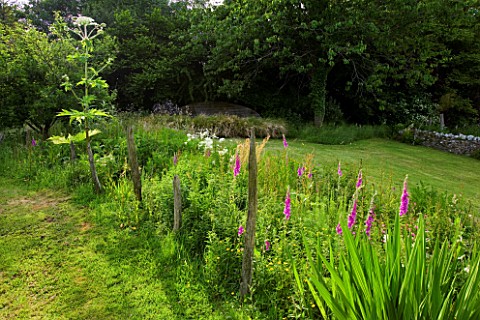 DESIGNER_CLARE_MATTHEWS_MEADOW_WITH_DIFTWOOD_SCULPTURE__FOXGLOVES_AND_GIANT_HOGWEED