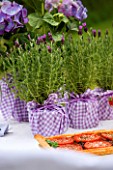 DESIGNER CLARE MATTHEWS: LAVENDER IN CONTAINER WRAPPED WITH GINGHAM CLOTH ON TABLE