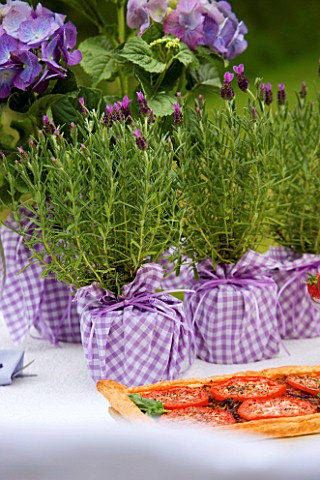 DESIGNER_CLARE_MATTHEWS_LAVENDER_IN_CONTAINER_WRAPPED_WITH_GINGHAM_CLOTH_ON_TABLE