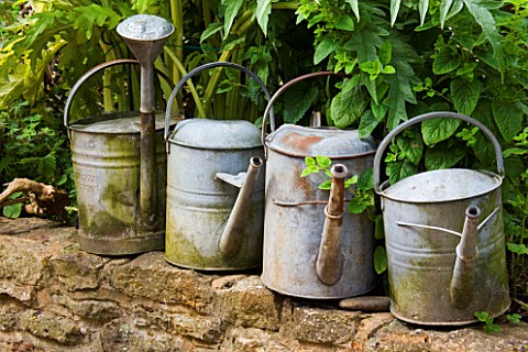 DESIGNER_BARBARA_CHARLESWORTH__METAL_WATERING_CANS_LINED_UP_ON_A_WALL