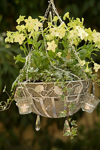 DESIGNER_CLARE_MATTHEWS___SPARKLING_CHANDELIER_PROJECT_CHANDELIER_PLANTED_WITH_NICOTIANA_AND_IVY