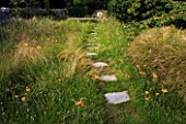 DESIGNER: CLARE MATTHEWS - PERENNIAL LAWN PROJECT - STEPPING STONES ACROSS MEADOW TO WOODEN BENCH WITH ACHILLEAS AND SCABIOUS CAUCASICA