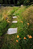 DESIGNER: CLARE MATTHEWS - PERENNIAL LAWN PROJECT - STEPPING STONES ACROSS MEADOW TO WOODEN BENCH WITH ACHILLEAS AND SCABIOUS CAUCASICA