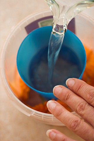 DESIGNER_CLARE_MATTHEWS__CALENDULA_FLOWERS_READY_FOR_ICE_CUBES__POURING_IN_WATER