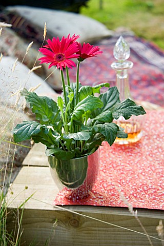 DESIGNER_CLARE_MATTHEWS__SARI_CANOPY_PROJECT_PINK_GERBERA_ON_TABLE_IN_SILVER_CONTAINER