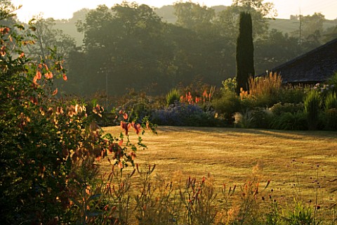PETTIFERS__OXFORDSHIRE_EARLY_MORNING_LIGHT_ON_THE_LAWN_AND_BORDER_WITH_COLUTEA_MEDIA_SEEDPODS_IN_THE