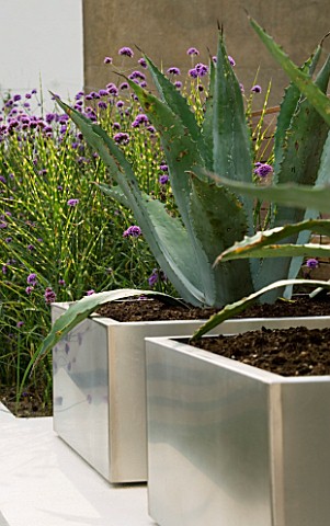 MINIMALIST_GARDEN_DESIGNED_BY_WYNNIATTHUSEY_CLARKE_METAL_CONTAINER_PLANTED_WITH_AGAVE_AMERICANA_SURR