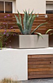 MINIMALIST GARDEN DESIGNED BY WYNNIATT-HUSEY CLARKE: METAL CONTAINER PLANTED WITH AGAVE AMERICANA