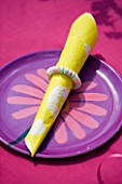 DESIGNER CLARE MATTHEWS: CHILDRENS PARTY - PLACE SETTING WITH FLOWERY PLATE AND NAPKIN