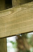 DESIGNER CLARE MATTHEWS: TREE HOUSE PROJECT - DETAIL OF BOLT ON WOODEN BEAM