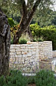 CURVED DRY STONE WALLING TOPPED WITH LAVANDULA RETAINS OLIVE TREE TERRACE IN GINA PRICES CORFU GARDEN.