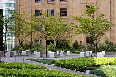 MARUNOUCHI_HOTEL__TOKYO__JAPAN_MODERN_ROOF_GARDEN_WITH_OFFICE_BLOCK_BEHIND_DECKED_TERRACE_WITH_TREES