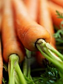 CARROTS   CLOSE UP. VEGETABLE  HEALTHY  FOOD  ORGANIC